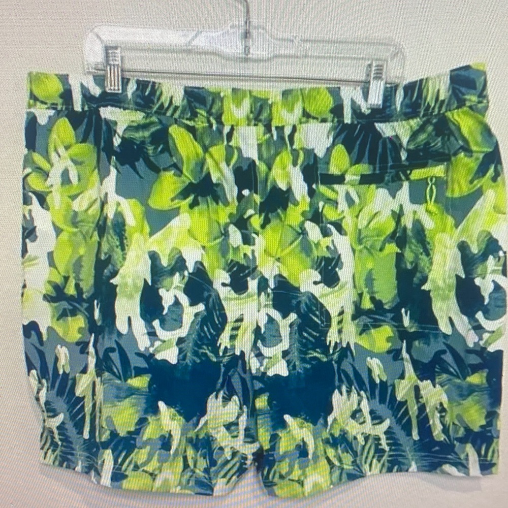 The North Face Green and Blue Men Shorts
